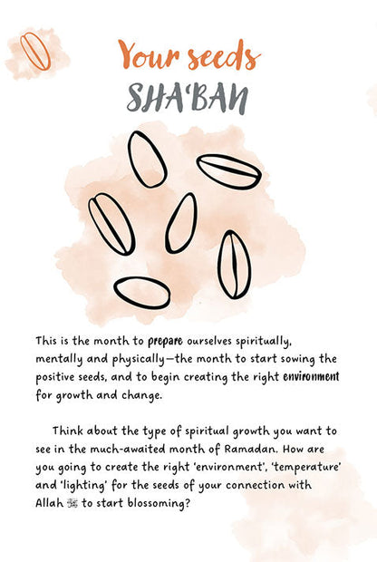 Sha'ban, Ramadan, Shawwal