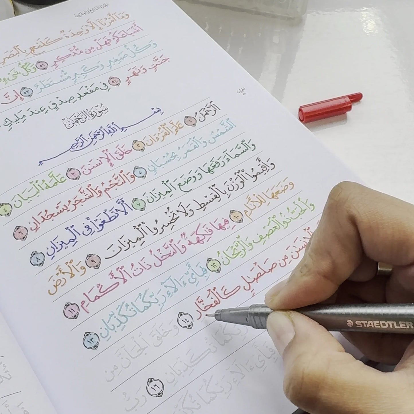 Quran Trace - Green (Rawdah Edition) Medina Uthmani